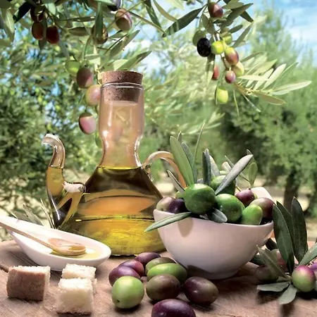 公寓 Exceptionnel !!! Venez Sejourner Dans Les 3 D'un Authentique Ancien Palace De La 