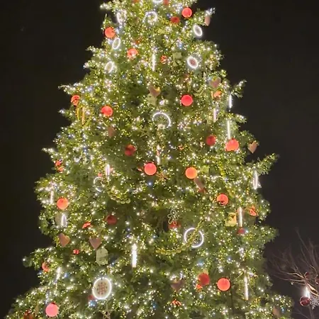 Exceptionnel !!! Venez Sejourner Dans Les 3 D'un Authentique Ancien Palace De La 